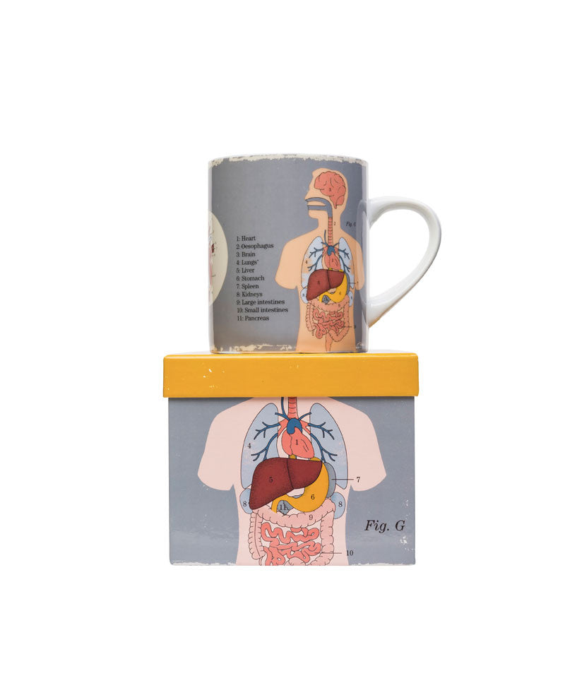 Organs Mug