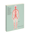 Anatomical Journal