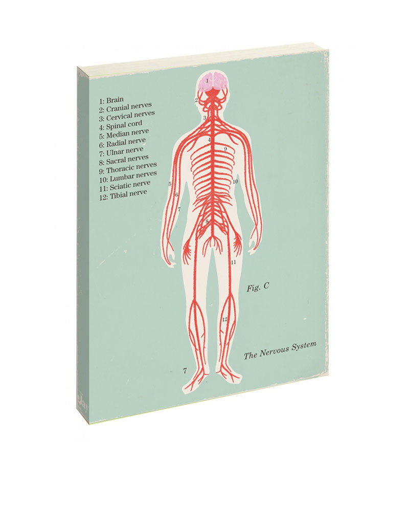 Anatomical Journal