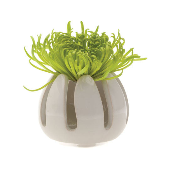 Gideon Grassy Vase